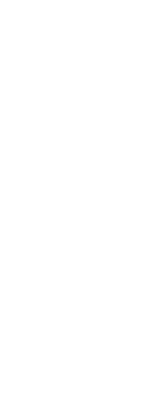 初めに触れる焼鳥。